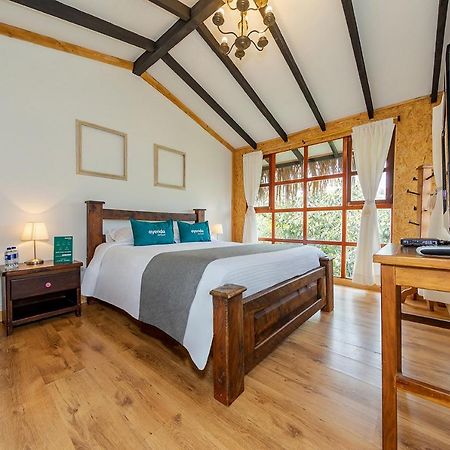 Ayenda Llanogrande Inn Rionegro Zewnętrze zdjęcie