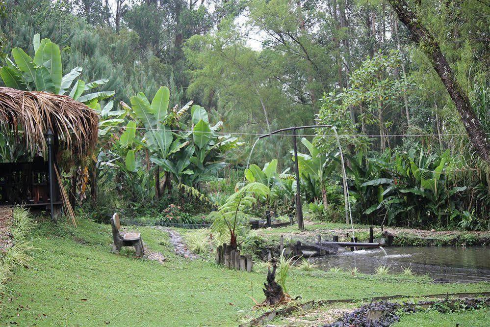 Ayenda Llanogrande Inn Rionegro Zewnętrze zdjęcie