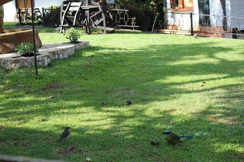 Ayenda Llanogrande Inn Rionegro Zewnętrze zdjęcie